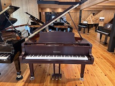 Yamaha C1