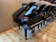 Yamaha C1X