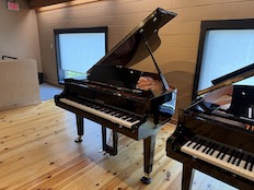 Yamaha C1X