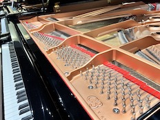 Yamaha C3X