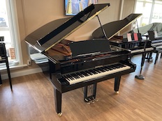 Yamaha DC6X