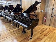 Yamaha GC1M