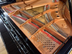 Yamaha GC2
