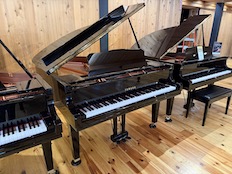 Yamaha GC2