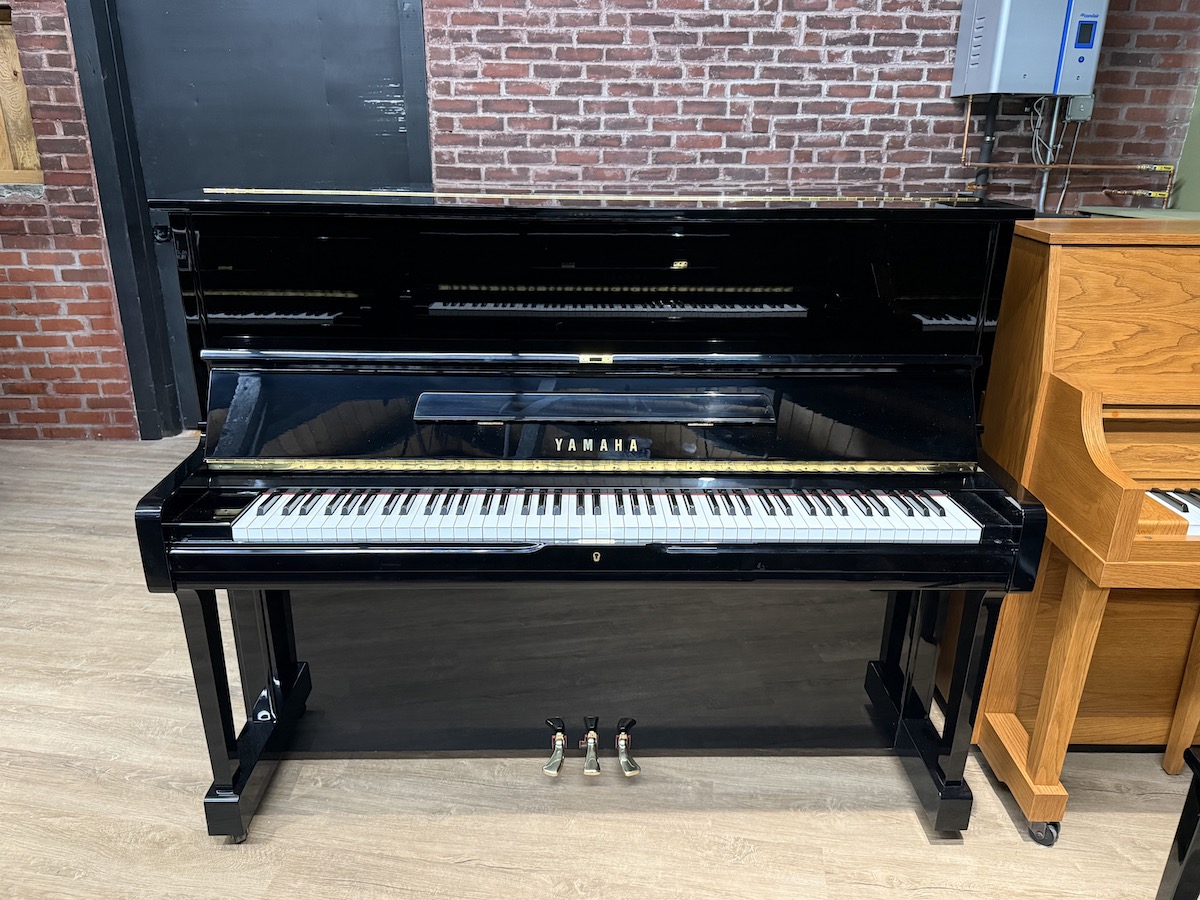 yamaha mv100