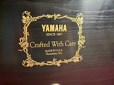 Yamaha P22