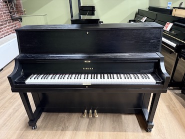 yamaha p22