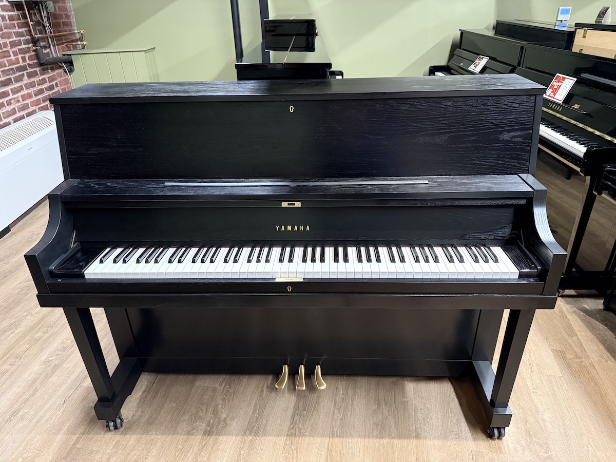 Yamaha P22