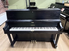 Yamaha P22