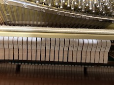Yamaha T118