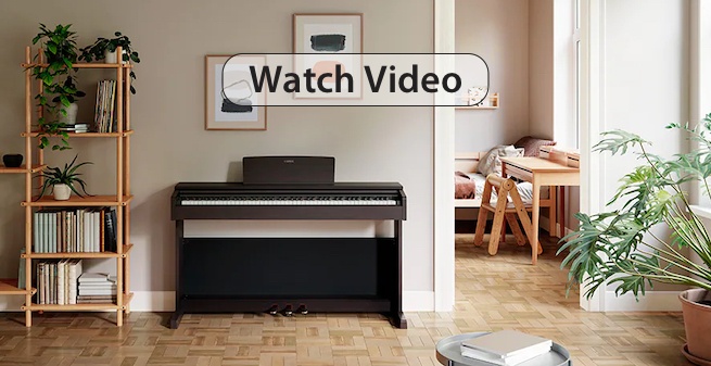 ydp_145 piano video